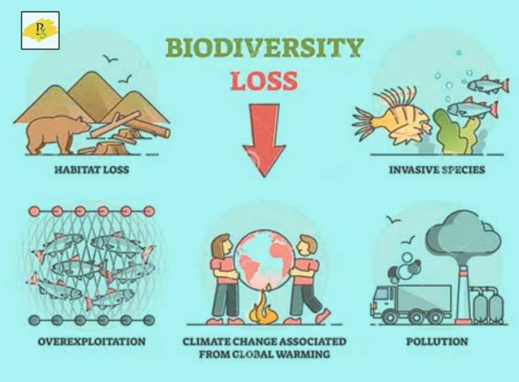 Biodiversity Loss